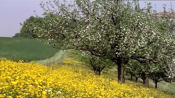 סיפור של תלמידת בית ספר שאוהבת לאכול פטמות