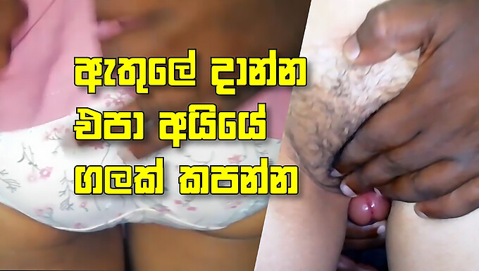 Desi dziewczyna z Sri Lanki daje footjob i blowjob