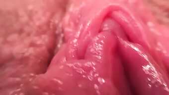 Primo Piano Della Vagina Di Una Teenager Con Un Sex Toy