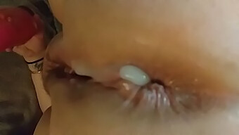 Uma Coleção De Cenas Amadoras De Creampie Anal Sem Camisinha